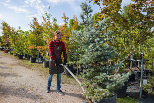 Best Professional Tree Care  in Deville, AL